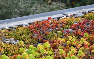 the cost of Griston green roof installation